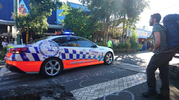 Police Operation Cuppa  Nimbin